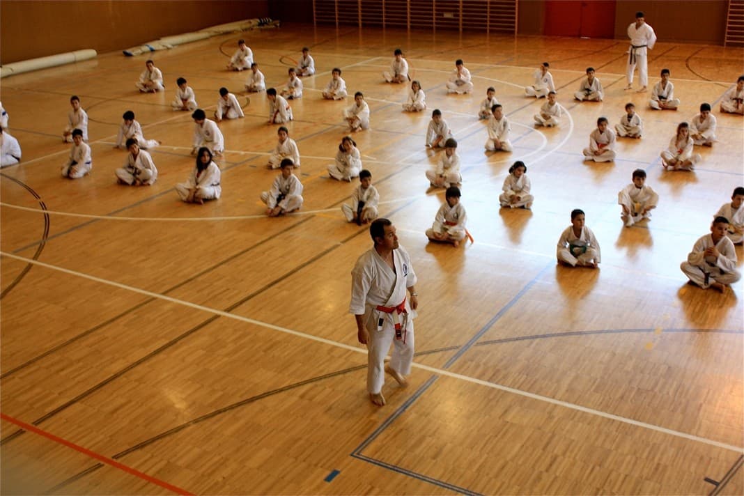 Escuela Astur de Karate - karate in Gijón