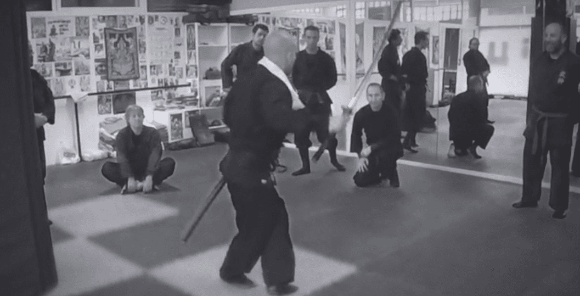 Bujinkan Girona Dojo - karate in Girona