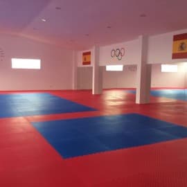 Club élite taekwondo Ramos & Brigitte club - karate in Palma