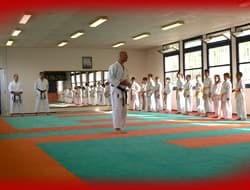 Karate Club Okinawa-te ANNONAY - karate in Annonay