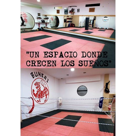 Club Deportivo Bunkai - karate in Ciudad Real