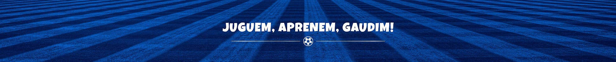 F.B. Denia - fútbol in Dénia