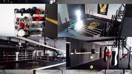 C.D Lionheart Boxing - karate in Huelva