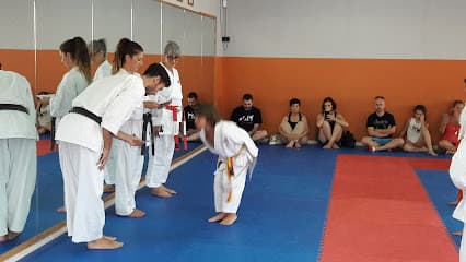 Dojo Senshi - judo in Vitoria-Gasteiz