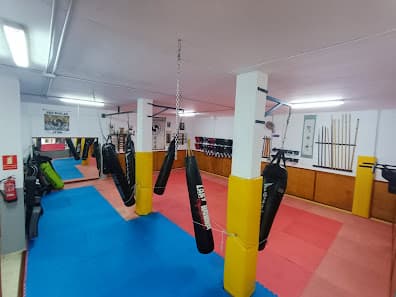 Bujinkan Shinrin Ryu Dojo - judo in Güímar