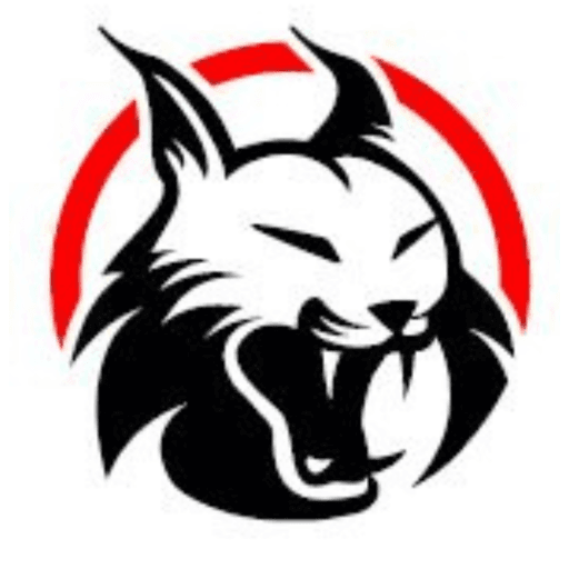 LYNX KRAV MAGA - karate in Madrid