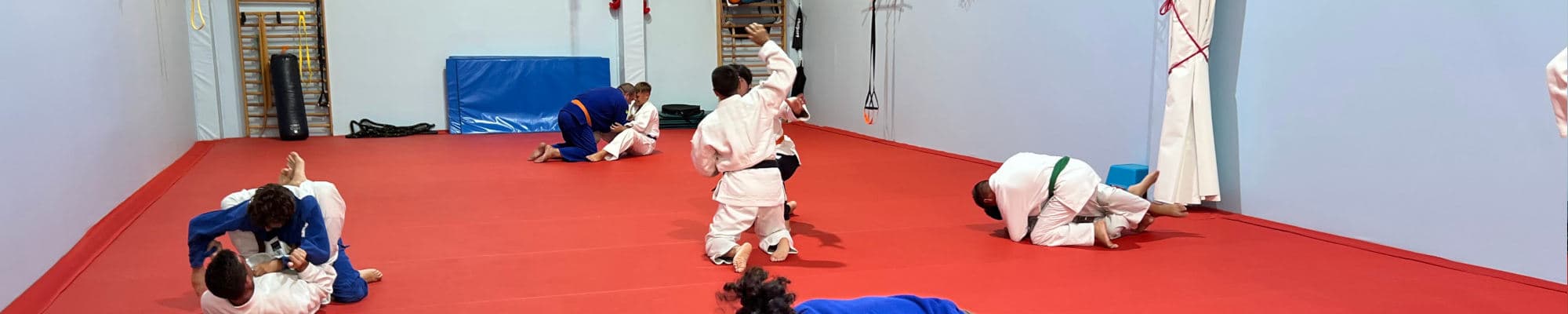 Tigra - judo in Igualada
