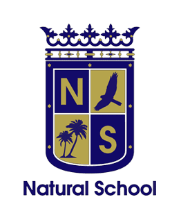 Natural School Beach - surf in Santa Pola