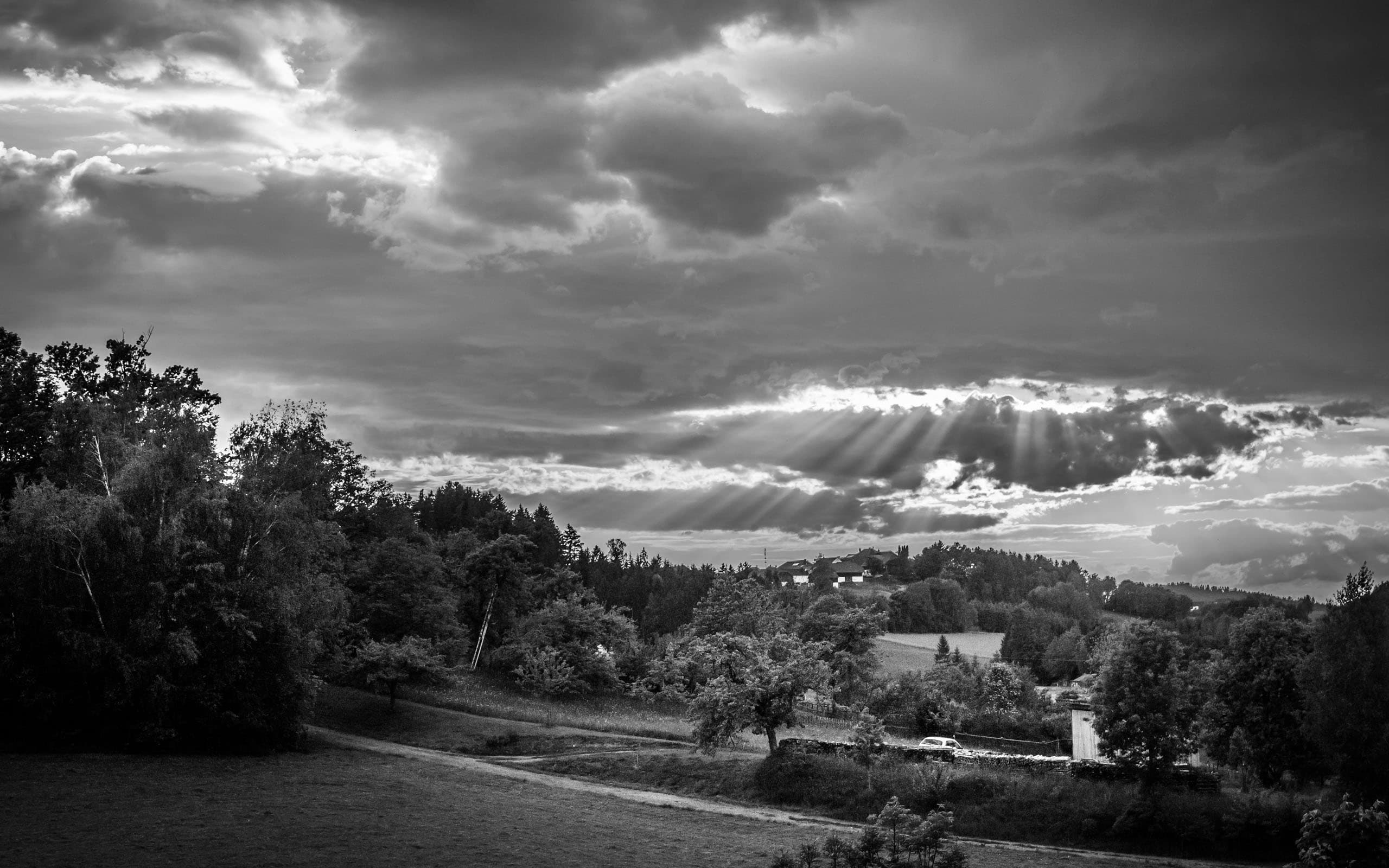 Colina GYM - Gimnasio Tenerife Sur - natacion in Costa Adeje