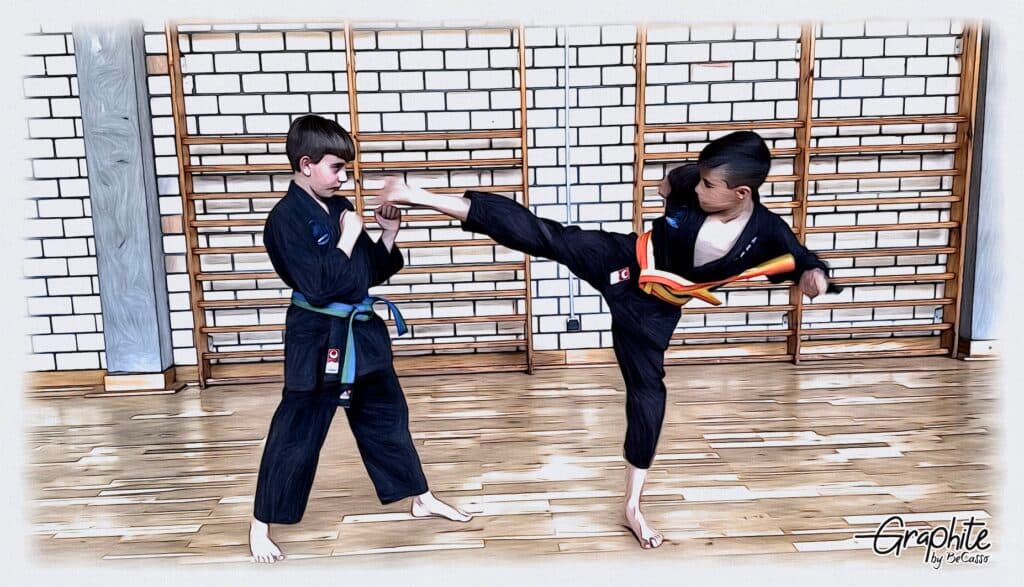 Seiryu Dojo - judo in Platja d'Aro