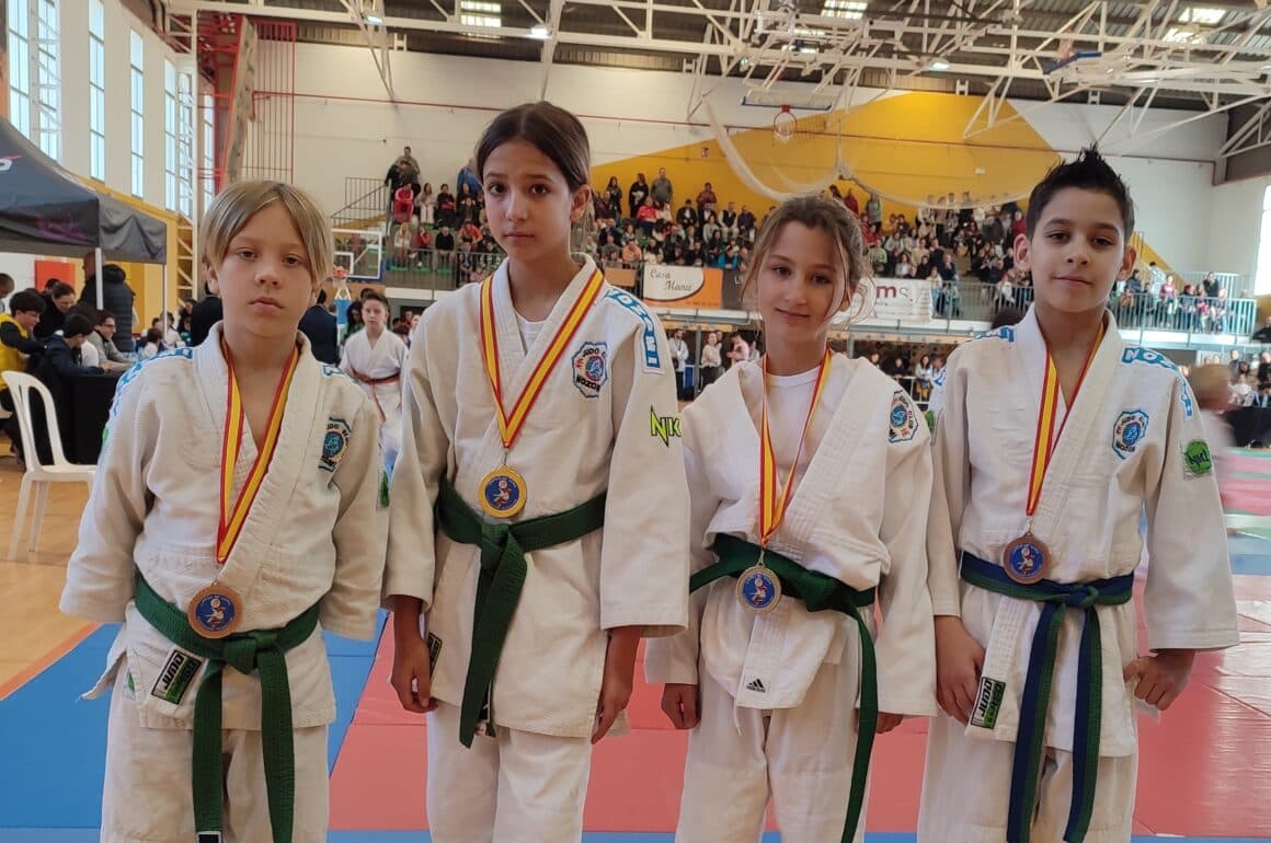 Koi Judo Castelló - judo in Castelló de la Plana
