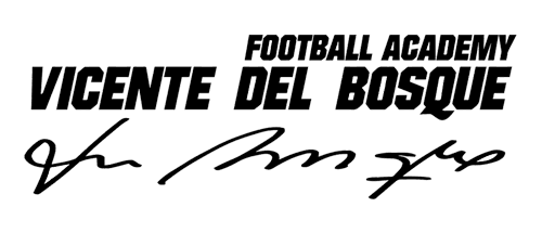 Campus Madrid Vicente del Bosque - fútbol in Madrid