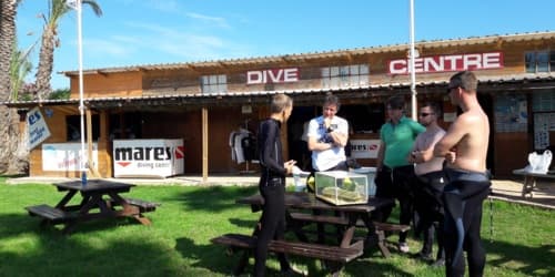 Divestar Ibiza VIP Diving - natacion 