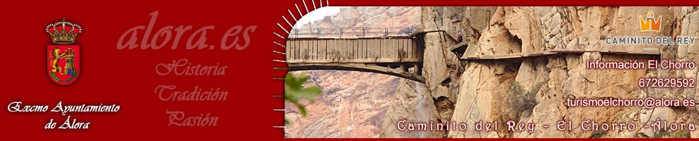 Piscina Cubierta De Álora - natacion 