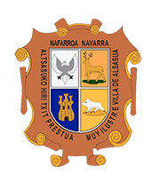 baloncesto alsasua - baloncesto in Alsasua