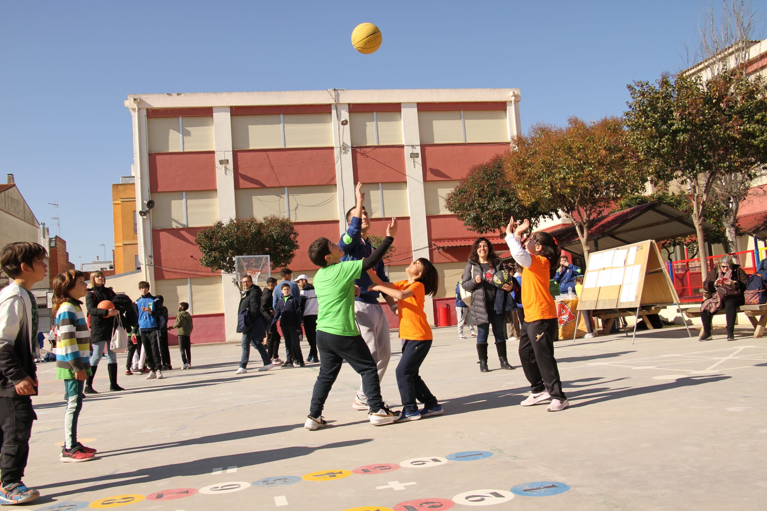 Escola Municipal Bàsquet L'Alcúdia - baloncesto in L'Alcúdia