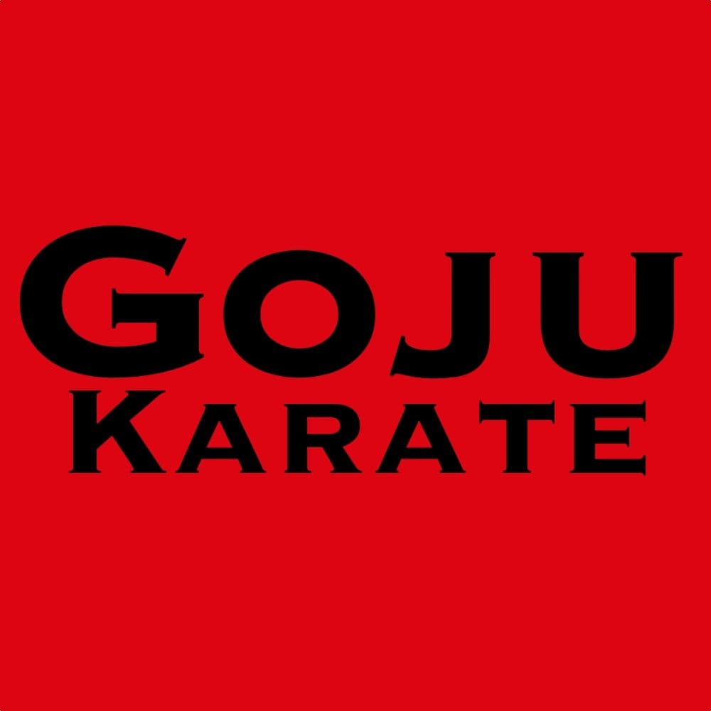 Goju Karate - karate in New York