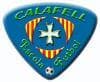 ESCOLA DE FUTBOL BAS CALAFELL - fútbol in Calafell