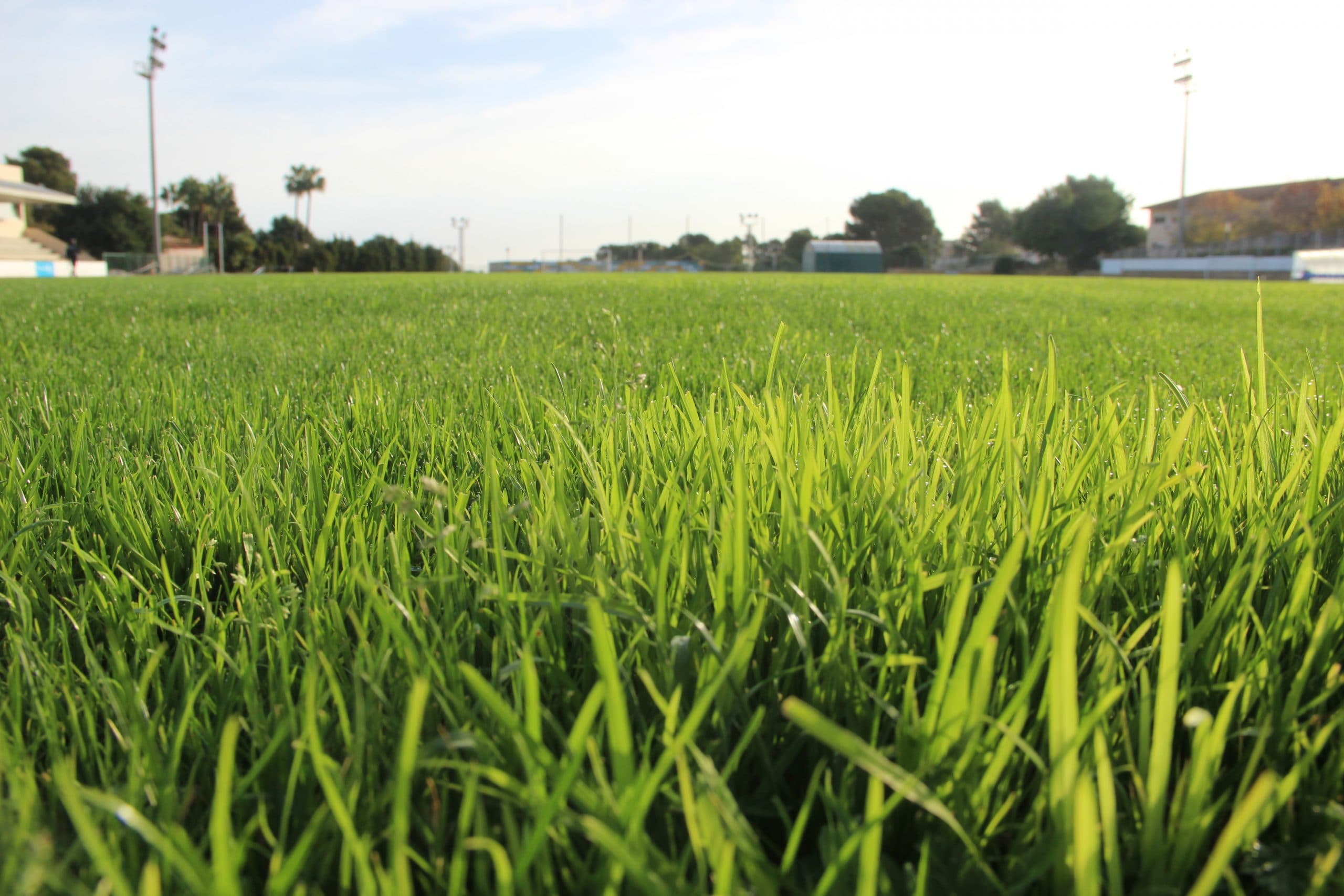Polideportivo Los Abrigos - fútbol in Los Abrigos