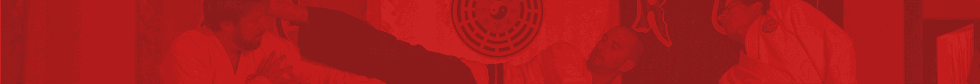 PA-KUA TORREMOLINOS (ARTES MARCIALES - PA KUA LIGA INTERNACIONAL - TORREMOLINOS - MÁLAGA) - judo in Torremolinos