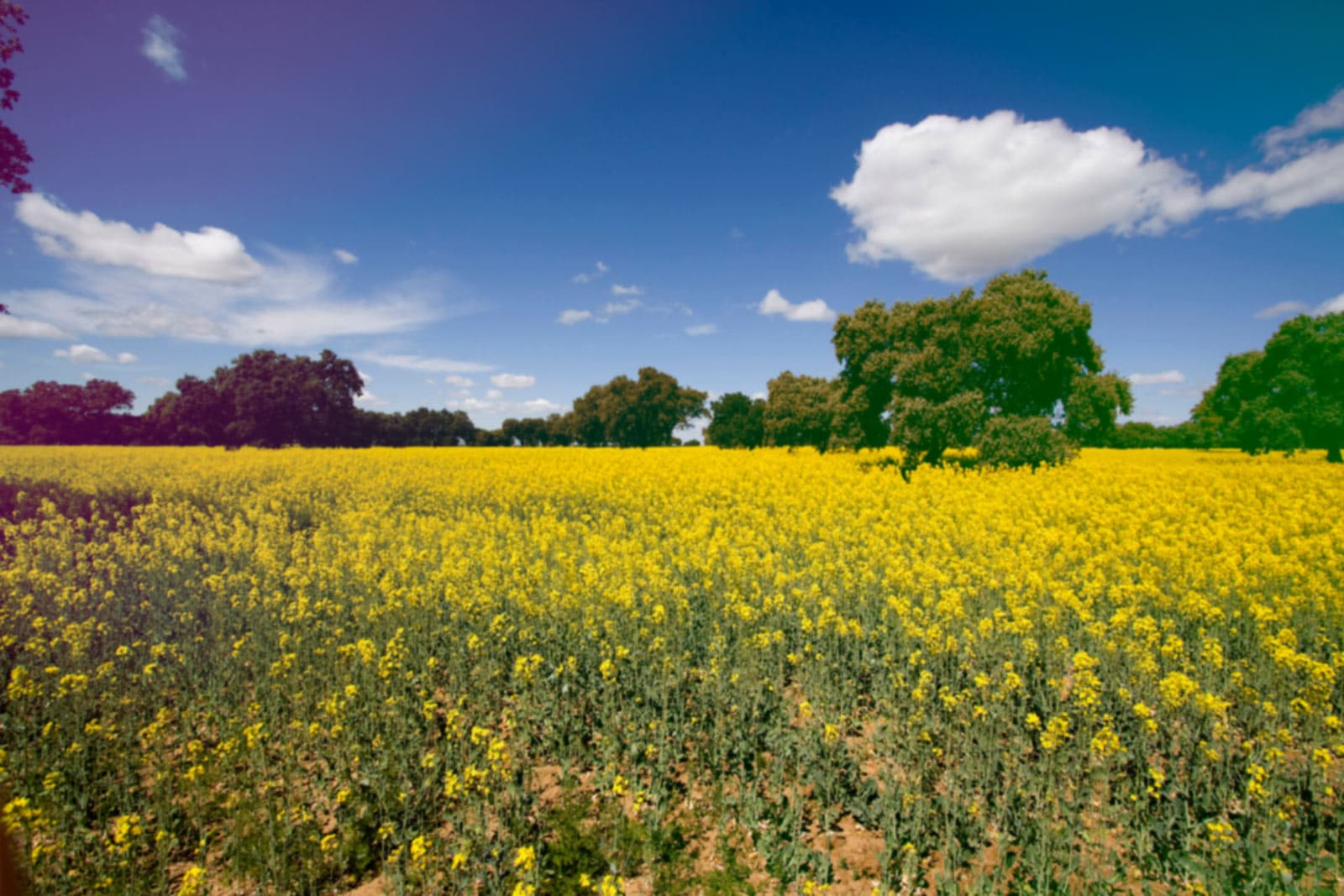 Piscina municipal Sierra de Fuentes - natacion in Sierra de Fuentes