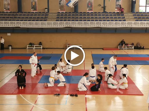 Olinima Escuela De Kung Fu - karate in Alcalá