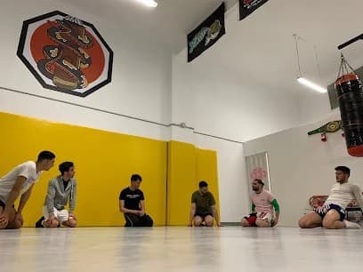 Hibera Ludus - Fight Academy - karate in Tortosa