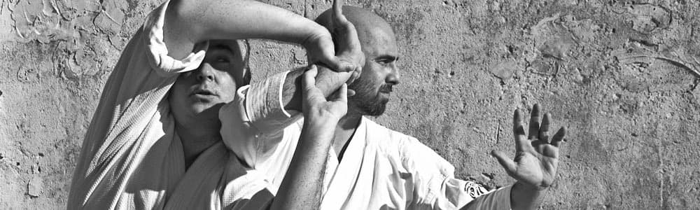 Koi Aikidojo Aikido Club - karate in Vitoria-Gasteiz