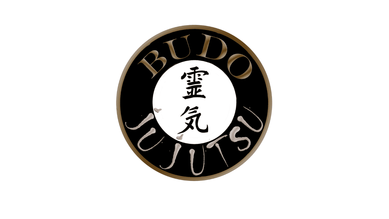 BUDO JU JUTSU | Artes Marciales | Defensa Personal | Ju Jitsu Japonés - judo in Sevilla