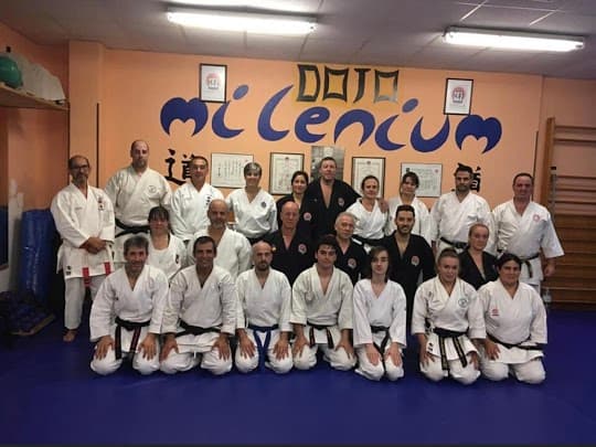 Gimnasio Nuevo Milenium - karate in Avilés