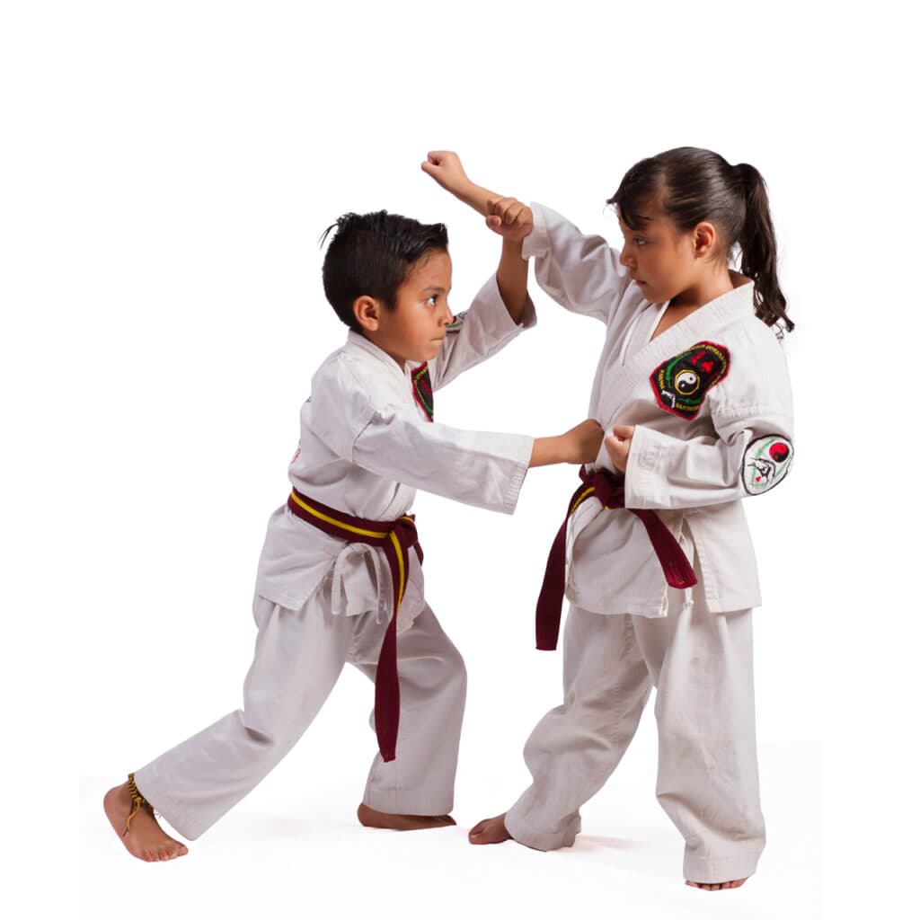 Kajukenbo Serra - judo in Serra