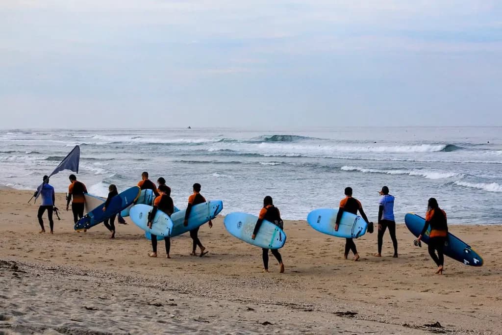 Aveiro Surf Academy - surf in Vagos