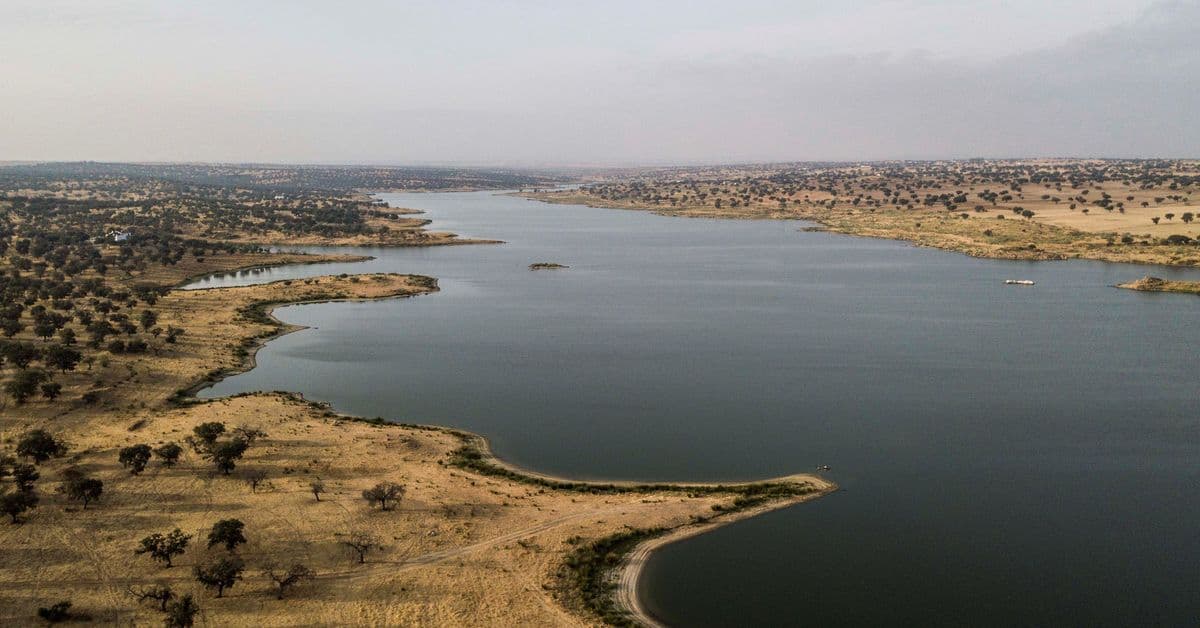 Campo de futbol playa - fútbol in El Viso