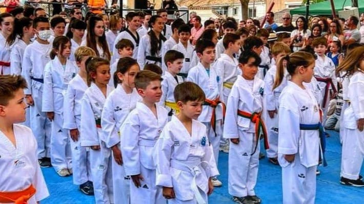 Escuela de Taekwondo Municipal La Zubia - karate in La Zubia