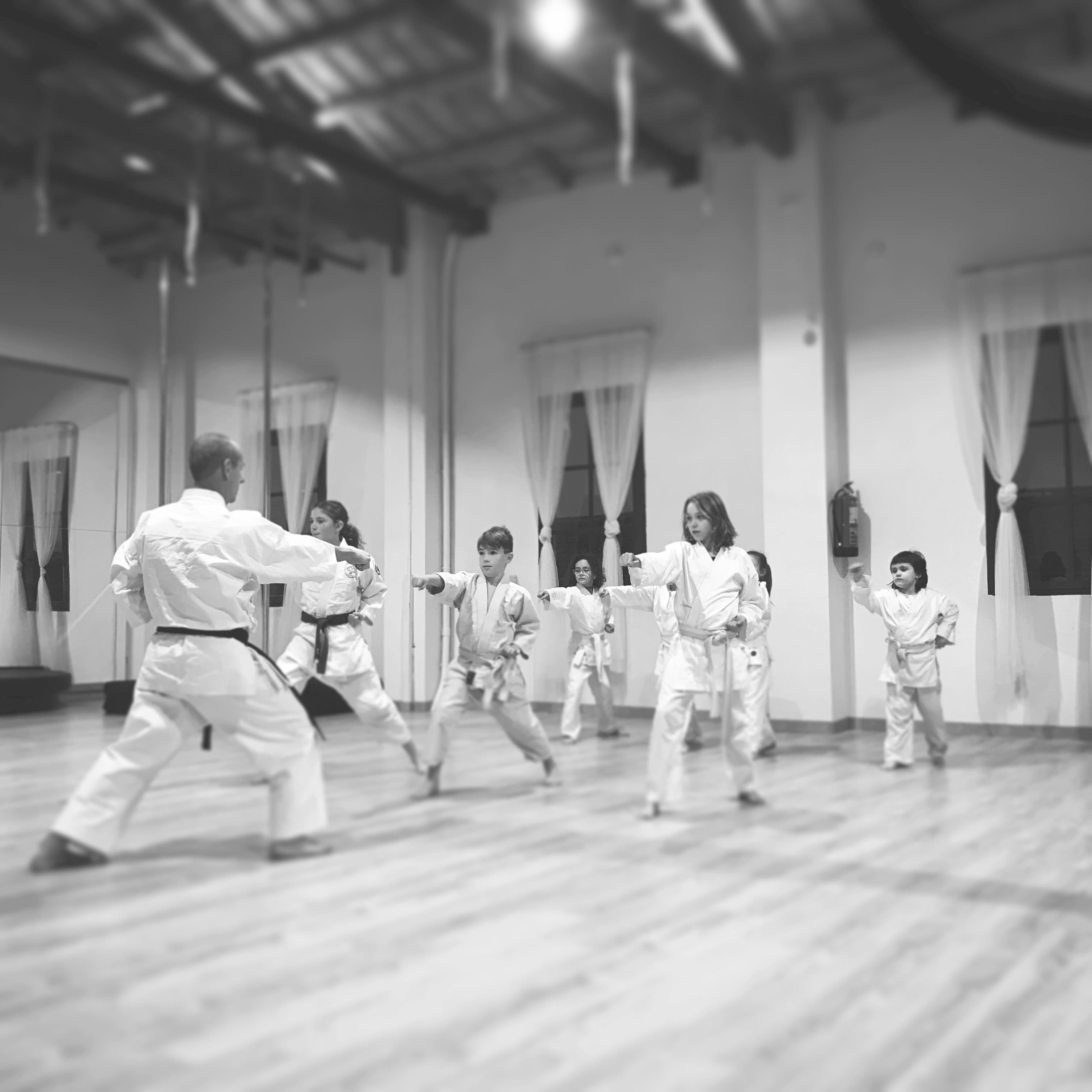 BUDOKAN VIC – Arts Marcials Tradicionals - judo in Vic