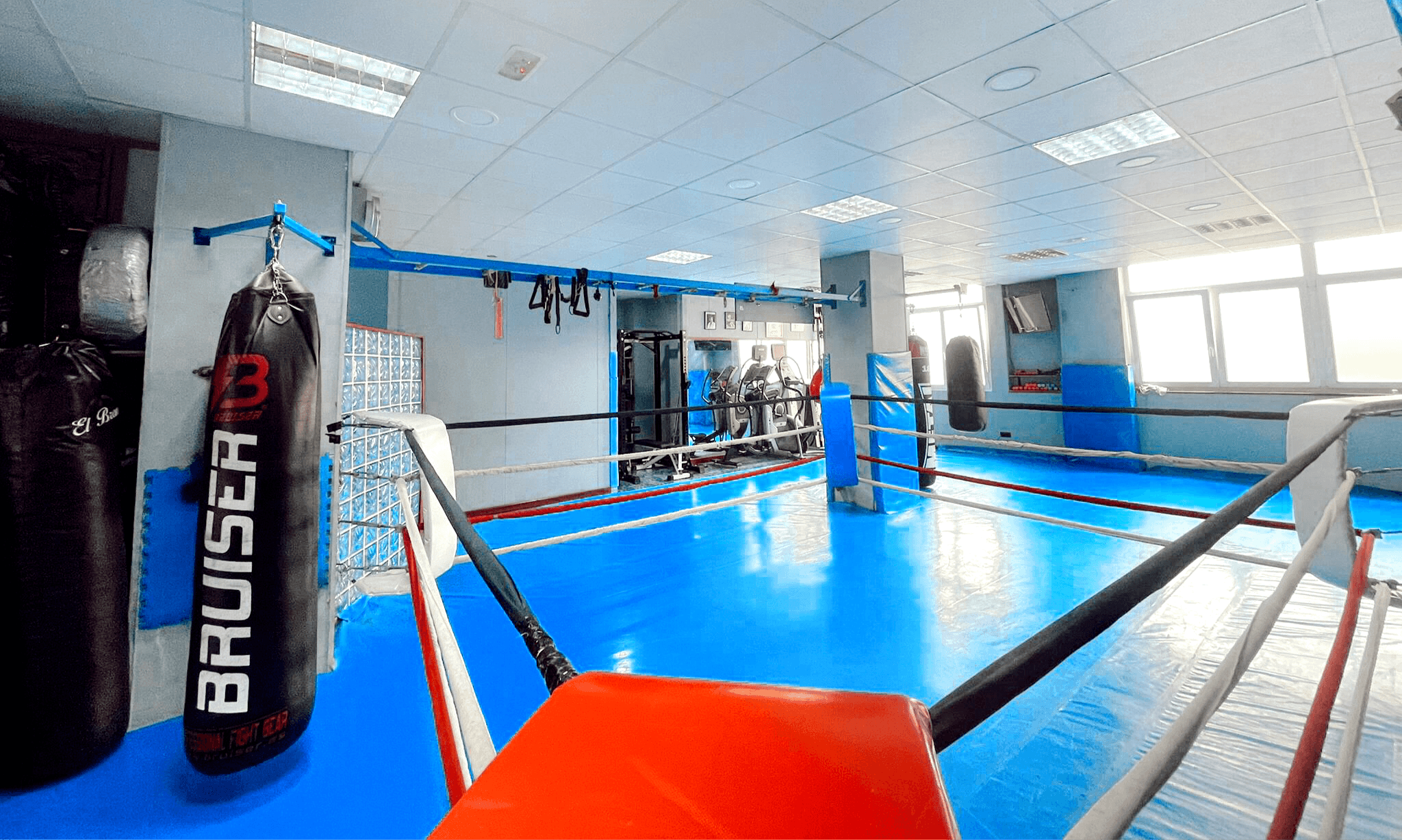 Gimnasio Contact | Contact Gym - boxeo in Basauri