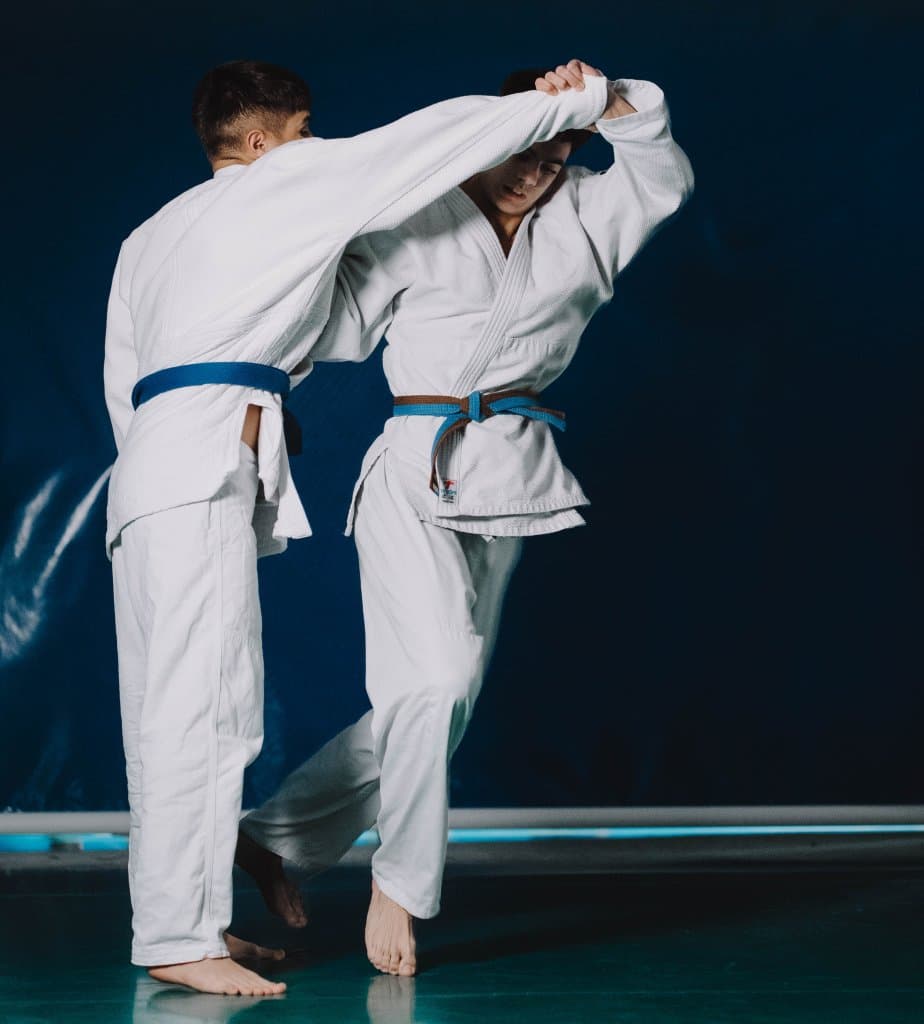 Budokai Dojo - judo in Sabadell